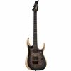 Ibanez RGDIX6PB-SKB Iron Label