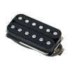 Raw Vintage RV-PAF F-Spaced BLK