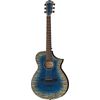 Ibanez AEWC32FM-GBL