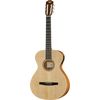 Taylor Academy Series 12e-N LH