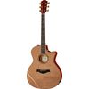 Taylor Custom #10140 Grand Auditorium