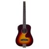 Traveler Guitars Traveler Acoustic AG AG-450 EQ