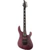 Caparison TAT Special FM Black Berry