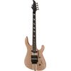 Caparison TAT Special FM NA