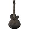 Rainsong CH-WS1000NS Concert