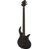 Elrick Expat Series E-volution 4 BK