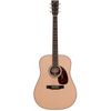 Larrivee D-40