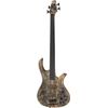 Human Base Jonas 4 Buckeye Burl fretless