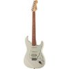 Fender Std Stratocaster HSS PF AW