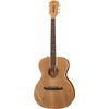 Fender T-Bucket 350-E Natural