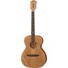 Fender T-Bucket 450-E Natural