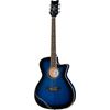 Daisy Rock Wildwood Artist RBL Burst 6278