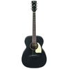 Ibanez PC14-WK Performer