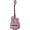 Daisy Rock Wildwood Acoustic Purple Daze