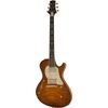 Gamble Guitars Rockfire Semi VB