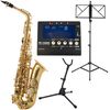 Hamaril Saxophone Set 2 Alt
