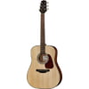 Takamine GD10-N