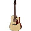 Takamine GD10CE-N