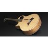 Warwick Alien 4 Lefthand