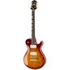 Knaggs SSC Steve Stevens T2 DAB