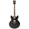 DAngelico Premier DC Black