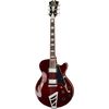 DAngelico Premier SS Trans Wine
