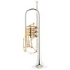 Johannes Scherzer 8228 "95 years" Bb Trumpet
