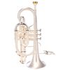 Besson BE928GT Ltd. Edition Bb-Cornet