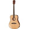 Fender F-1000 Dreadnought
