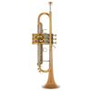 Yamaha YTR-8335 GH Tomonao Hara