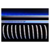 KapegoLED LED Flex Stripe Blue 5m 12V