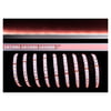 KapegoLED LED Flex Stripe RGB 3m 24V