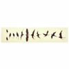 Jockomo Fret Mark-Birds WD