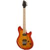 Evh Wolfgang WG Standard CB