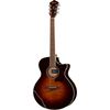 Ibanez AE205-BS
