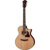 Ibanez AE510-NT