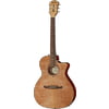 Fender FA-345CE Auditorium Natural