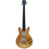 Warwick RB StarBass 5 FL GD MHP