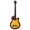 Warwick Alien Standard 5 FL VI SBST