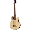Warwick Alien Deluxe 5 Hybrid Thinline