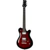 Framus D-Series Panthera Supreme BB