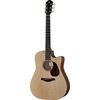 Furch Blue DC-SW/L.R.Baggs Stage Pro