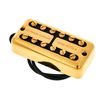 Seymour Duncan Psyclone Hot Neck Gold