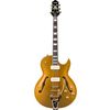 Prestige Guitars NYS Deluxe P90 MG