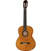 Amalio Burguet FDV Spruce Flamenco
