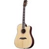 Framus Legacy FD 28 Jörg Nasler EC