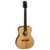 Shadow Guitars JMS-57E GANHGT
