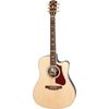 Gibson Hummingbird Supreme AG 2018