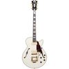 DAngelico Excel SS Shoreline WH