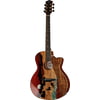 Luna Guitars Vista Deer